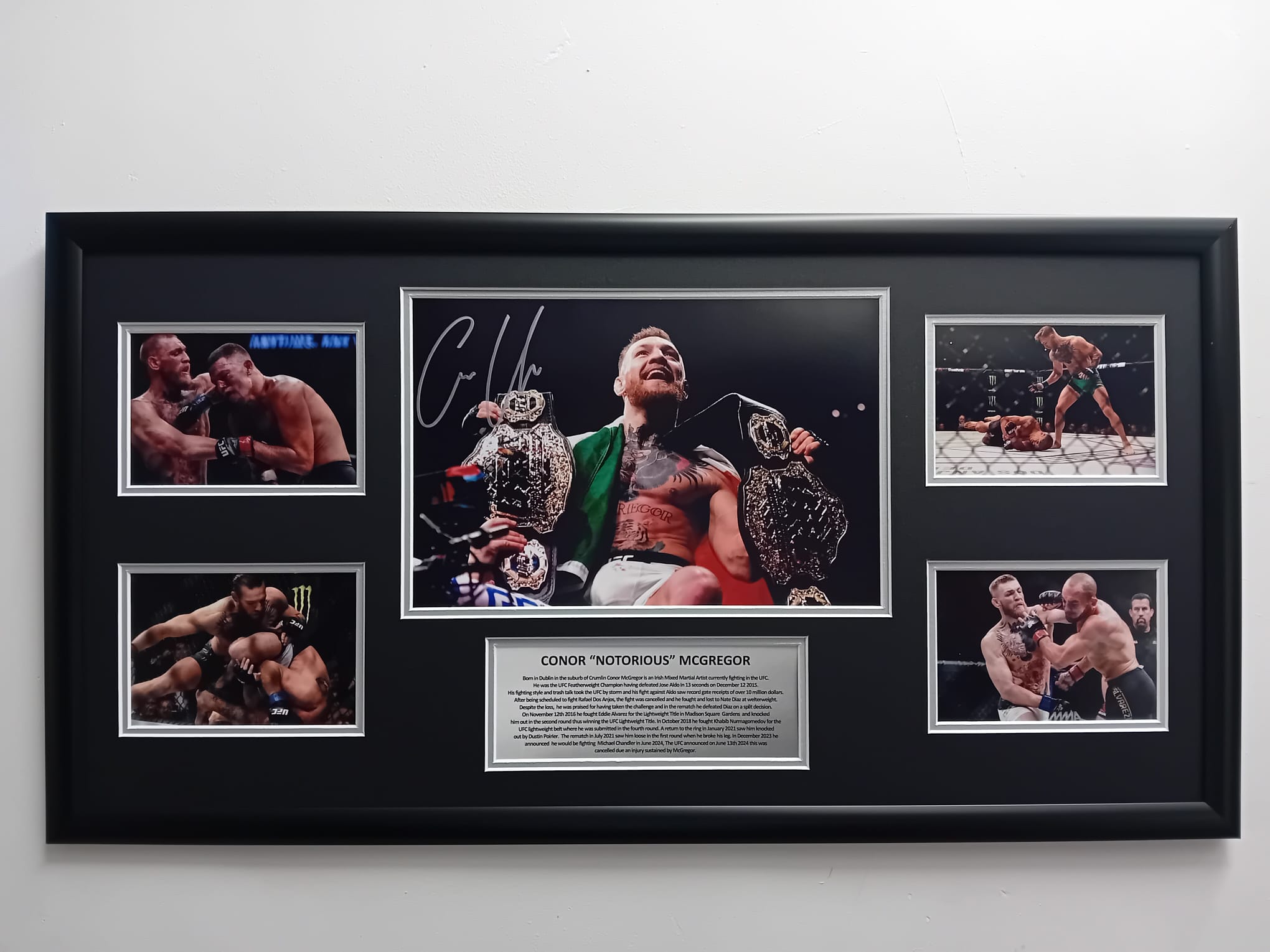 CONOR MCGREGOR UFC STORYBOARD.